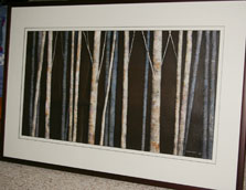 Framed birch tree painting donated by Gina Knechtel